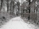 Thumbnail Winter forest road in Germany (Deutschland)