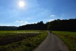 Thumbnail young man walking on country road towards green forest 