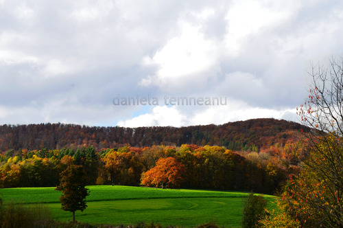 Product picture Natures Autumn colors 