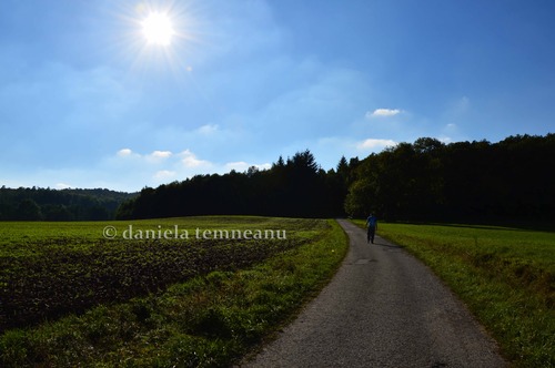 Product picture young man walking on country road towards green forest 
