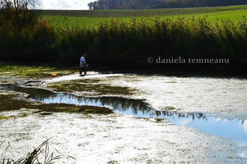 Product picture man cleaning lake, saving nature, clarifying water, Germany