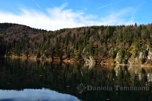 Product picture autumn forest reflected in the lake Alpsee water, Germany