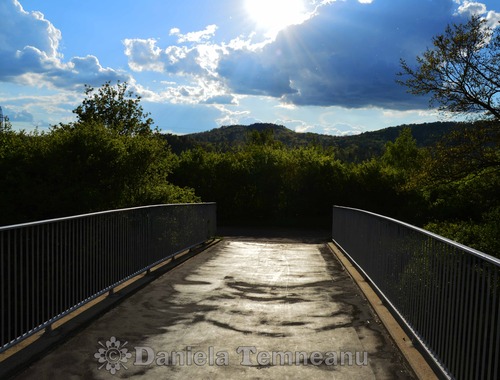 Product picture bridge toward a piece of heaven on earth